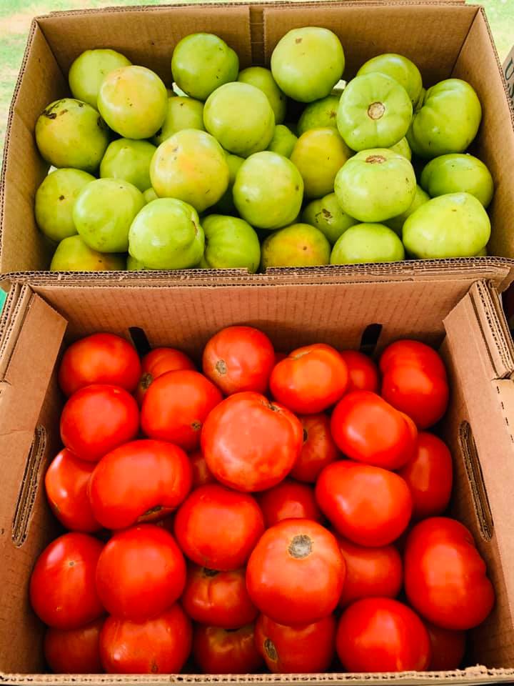 Tomato Display